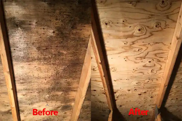 water damage restoration service Wanamingo